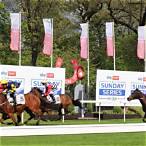 sky bet racecards
